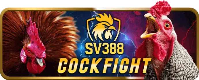 Hướng dẫn chơi fun88 nổ hũ từng bước